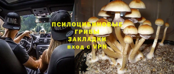 амф Бородино