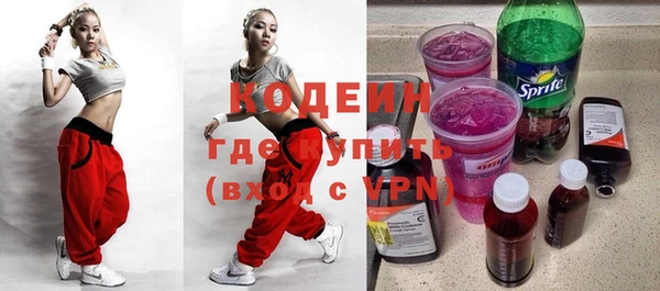 амф Бородино