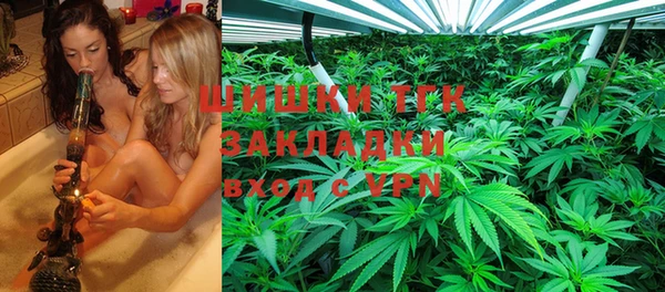 амф Бородино