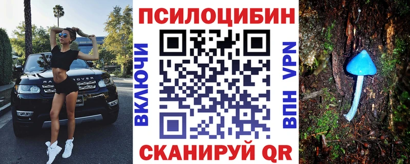 Псилоцибиновые грибы мицелий сколько стоит Брянск